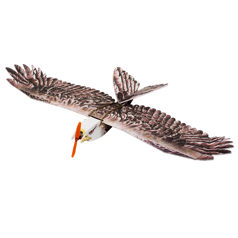 DW Hobby Eagle II EPP Airplane - đánh giá và giá Rc Hobby Plane