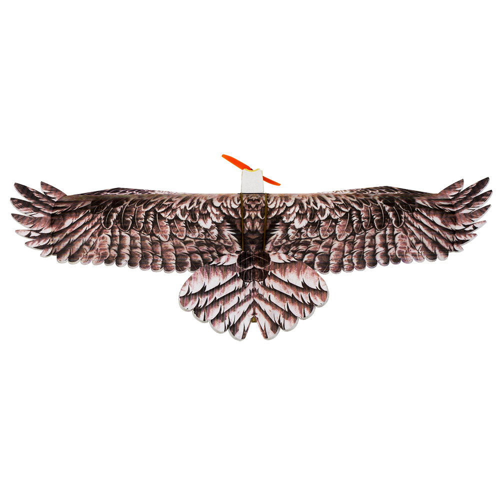 DW Hobby Eagle II EPP Airplane - đánh giá và giá Rc Hobby Plane